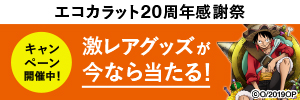 エコカラット20周年感謝祭キャンペーン開催中！