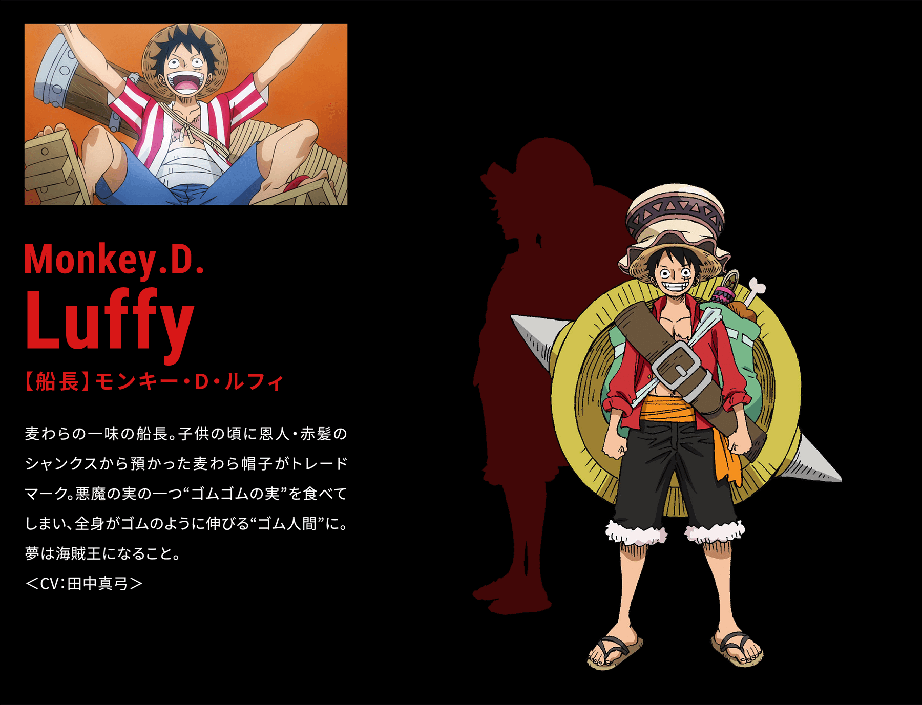 Character キャラクター 劇場版 One Piece Stampede 公式サイト