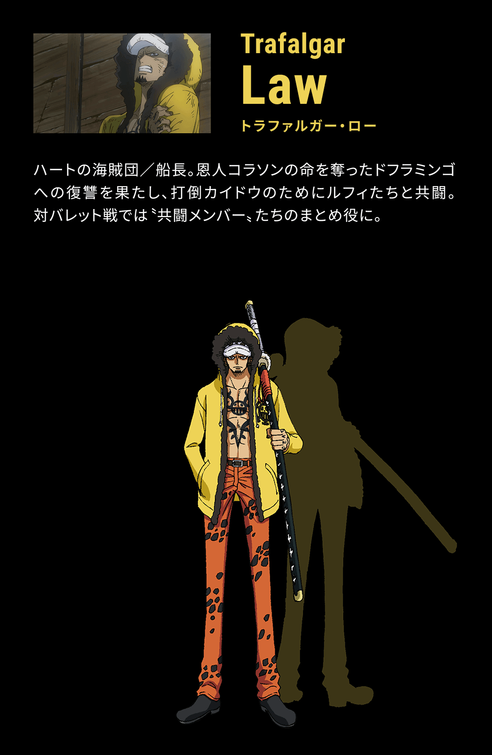 Character キャラクター 劇場版 One Piece Stampede 公式サイト