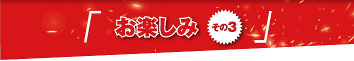 お楽しみ その3